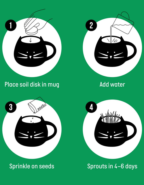 Load image into Gallery viewer, Kit De Hierba Orgánica Para Gatos Con Maceta De Cerámica Negra Para Gatos, Set De Regalo Fácil De Plantar En Interiores
