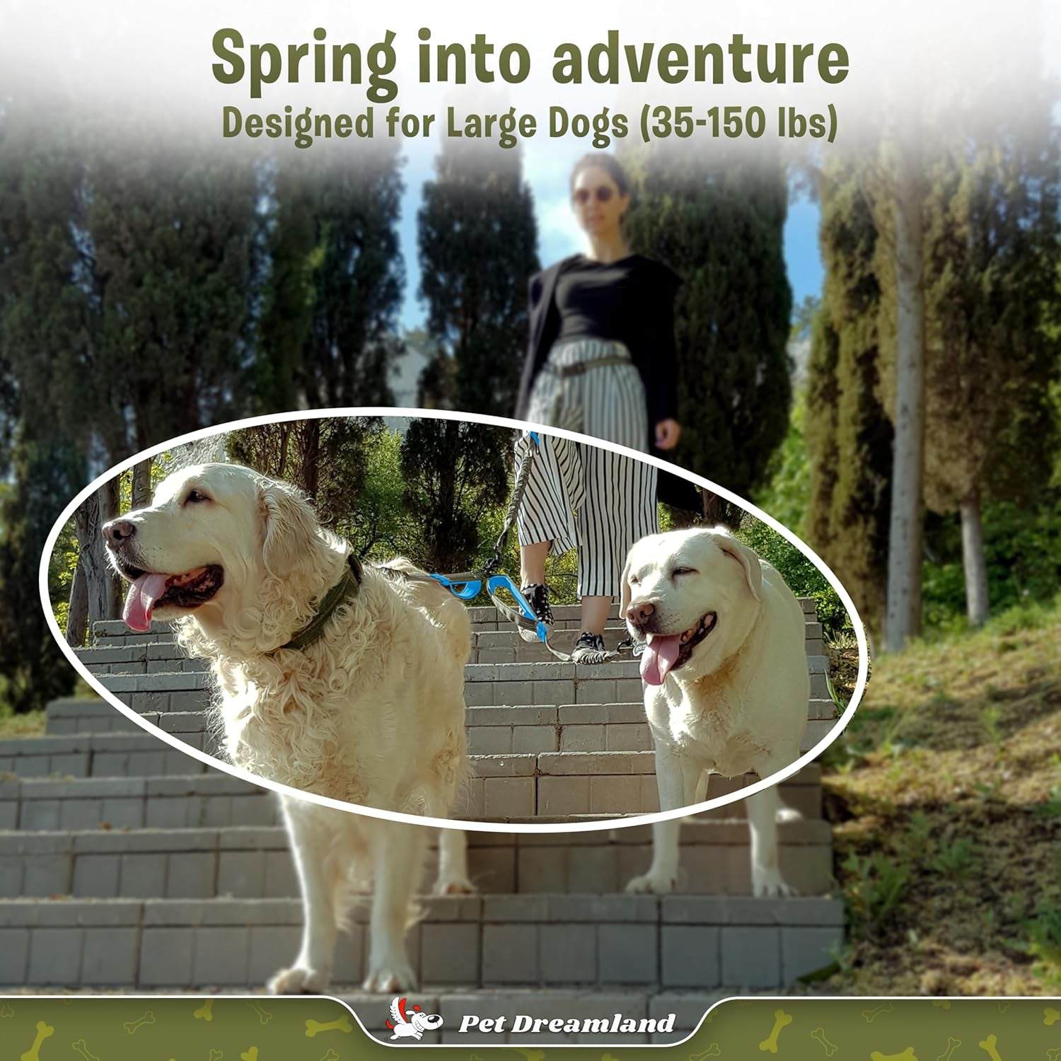 Exquisite Two Dog Leash Splitter | Double Dog Leash for Large Dogs Heavy Duty | No Tangle 2 Dog Leash Coupler | Dual Dog Leash Attachment | Retractable Dual Leashes for 2 Dogs